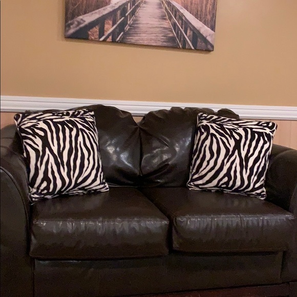 Other - Zebra pillows